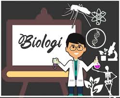 Check spelling or type a new query. Halaman Download Manfaat Belajar Biologi Dengan Guru Biologi Superprof