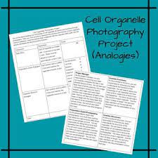 Get free animal vs plant cell coloring pages easy and 42 from cell. Cell Analogy Organelle Worksheets Teaching Resources Tpt