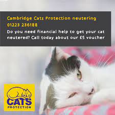 Welcome To Cats Protection