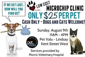 Will You Find Your Pet Before It S Too Late Kawartha Lakes Pet Euthanization Prevention Tips Animal Welfare Society Kawartha Lakes Your Pet