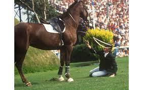 Contact us for more information. Hickstead Derby Bank How Not To Do It Horse Hound
