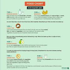 7 Month Baby Food Chart Plz Send