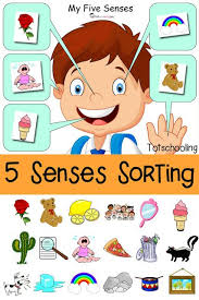 Five Senses Sorting Printable School Science Senses