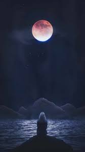You can also upload and share your favorite moon hd wallpapers. Mystical Whale Iphone Wallpaper Iphone Wallpapers Iphone Wallpaper Moon Moving Wallpaper Iphone Hope Wallpaper