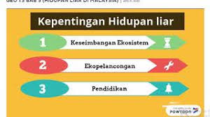 1.1 arah & kedudukan dalam peta topografi. Geografi Tingkatan 3 Kssm Bab 5 Hidupan Liar Di Malaysia Cikgootube Youtube