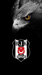 Besiktas Panosundaki Pin