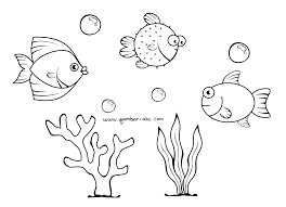 56 gambar 2 dimensi yang mudah ditiru dan berwarna di zaman yang sekarang ini dimana hampir diseluruh masyarakat sudah mengenal dengan dengan adanya beberapa gambar pemandangan. Ikan Lucu Sederhana Mudah Ditiru Contoh Gambar Mewarnai