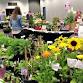 Garden Club Plant Sale 2026 event image