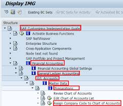 assign company code to chart of accounts in sap sapspot