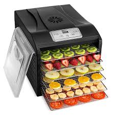 10 Best Food Dehydrator Reviews In 2019