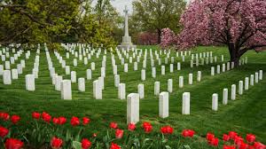 The arlington national cemetery is the country's largest military cemetery and serves as the final resting place for more than 400,000 military veterans and their immediate family from the fronts of iraq and afghanistan, as well as world wars i and ii, the korean conflict, vietnam, the cold war and america's civil war. Four Fascinating Facts About Arlington National Cemetery Historic America