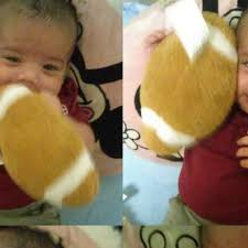 Fundraiser by Calloway Williams : Memorial for Levi