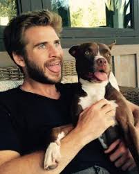 Liam Hemsworth 2020 Sakalli Erkekler Fotografcilik Avatar