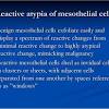 Breathing high levels of asbestos can lead to mesothelioma or lung cancer. 1