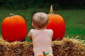 Cut the top third of the pumpkin off in a straight line (vs. The Internet Is Loving Baby Pumpkin Butts All Over Instagram Lifestyles Lebanon Express Com