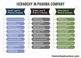 Hierarchy In Pharma Company Company Structure Pharma