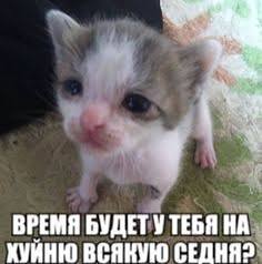 Время будет? | Russian with memes