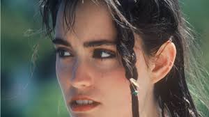 Jill Dodd: Das Model und der Waffenhändler