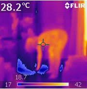 Utiliser une caméra thermique, ça fait froid dans le dos !