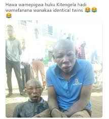 With tenor, maker of gif keyboard, add popular funny monkey meme animated gifs to your conversations. 12 Memes 2019 Kenya Factory Memes