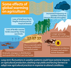 Some Effects Of Global Warming On Agriculture
