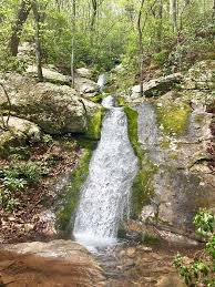 Commonwealth forest park & resort is managed by future world avenues sdn bhd. 4 Favorite Falls Of Virginia State Parks State Parks Blogs