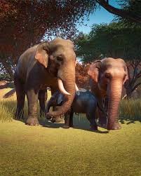 Indian elephants always catch the attention of every onlooker, but just like tigers and lions this animal has also come under threat of extinction. Indian Elephant Planet Zoo Wiki Fandom