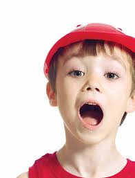 Tätigkeitsbericht 2024