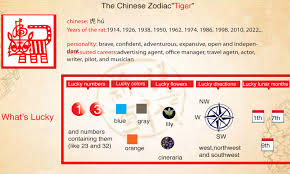 Chinese Zodiac Tiger Chaochaocharlie