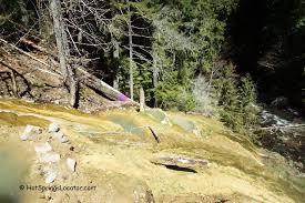 Oregon has many amazing hot springs situated in several equally amazing settings. Umpqua Hot Springs Oregon Cascade Hot Springs Locator