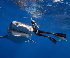 Ocean Ramsey