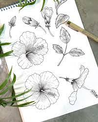 Hibiscus Flowers Done In Ink Pen For The Tropical Repeat Pattern Tropical Hibiscus Flower Floral Nat Hibiscus Flower Drawing Hibiscus Drawing Ink Drawing