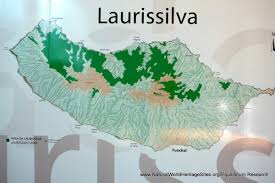 Located mostly in the iberian peninsula of europe, portugal covers an area of 92,212 sq. Laurisilva Of Madeira Natural World Heritage Sites