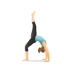 Pin On For Flexibility