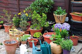 Maybe you would like to learn more about one of these? 6 Simple Tricks For Beautiful Garden Containers Gardener S Path