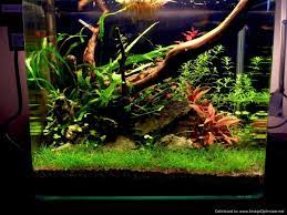Pin On Aquarium Lighting