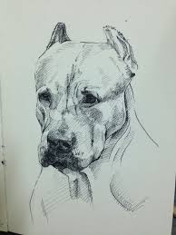 Ya Uzhe Poprobovala Ochen Horosho Dazhe Poluchilos Hochu Skazat Vam Za Etot Sajt I Za Eti Genialnye Idei Spasibo Bolshoe Pitbull Art Animal Drawings Dog Art