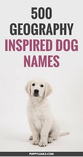 500 Geography Inspired Dog Names Puppy Leaks Dog Names Puppy Training Best Dog Names