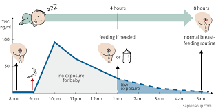 Only Small Amounts Of Thc Transfer Into Breast Milk