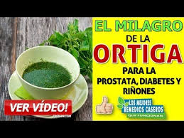 El Milagro De La Ortiga Recetas De Remedios Caseros Remedios Caseros Naturales Remedios Naturales
