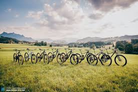 Before buying a good mountain bike under $500, here are the best 10 you need to consider! The Best Budget Trail Bike Of 2020 9 Exciting Mtbs On Review Enduro Mountainbike Magazine