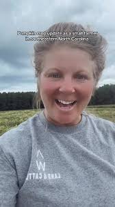 The power of bees 🐝🎃 #northwestlandandcattle #ncfarmer #pumpkinseason  #pumpkinpatch #ncpumpkinpatch #lelandnc #ncfarm #bees