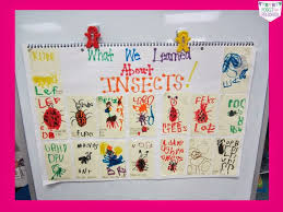 Butterfly Study Science Literacy And Giveaway Pocket