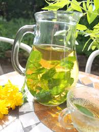 Selbstgemachter Minz Zitronenverbene Tee Zitronenverbene Zitronenverbene Rezepte Tee Selber Machen