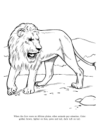 Lion Drawing And Coloring Page Zoo Coloring Pages Lion Coloring Pages Zoo Animal Coloring Pages