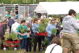 Find and adopt a pet on petfinder today. Green Thumbs Tingling Must Be Time For Manchester Animal Shelter Annual Plant Sale Manchester Ink Link