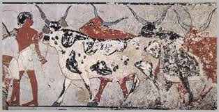 அறிவியலாற்றுப்படை (Ariviyalatrupadai)15: எழுத்தின் பிறப்பு (Eluthukalin Pirappu)| எகிப்தில் பாப்பிரஸ் (Papyrus in Egypt) |அசோகர் கல்வெட்டுகள் - https://bookday.in/