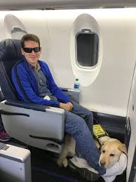 Deafblind Adult Perspectives