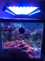 Orphek Reef Or 120 Blue Sky Bar Led Lighting With Ati T5 Orphek