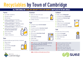 We did not find results for: What Goes In Each Bin